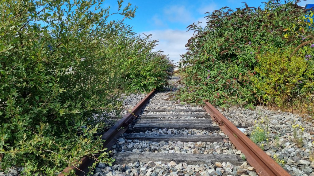 Overwoekeren of overvloeien?